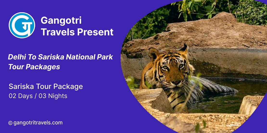 Delhi to Sariska National Park tour packages