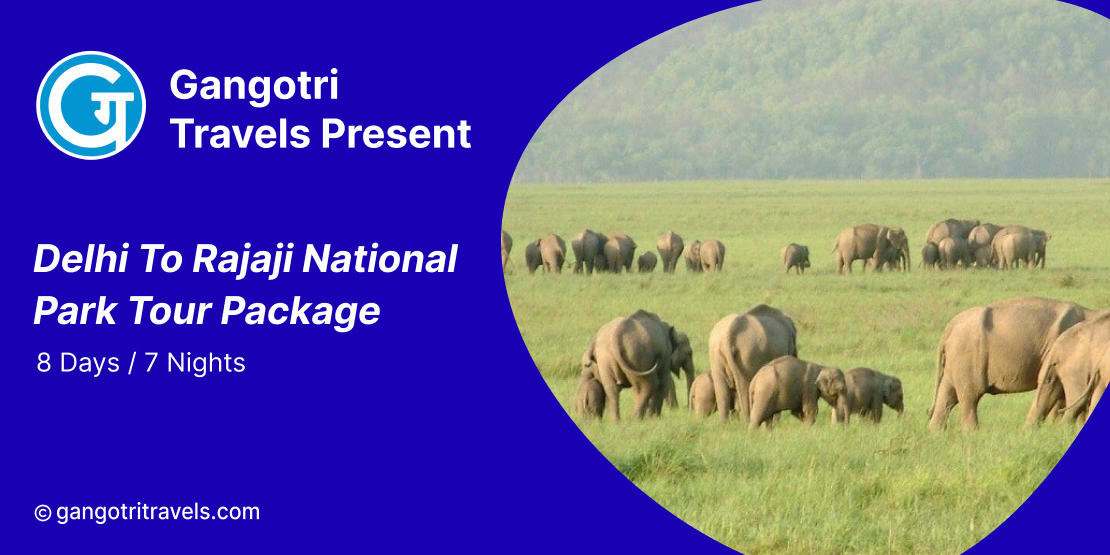 Delhi to Rajaji National Park Tour Package
