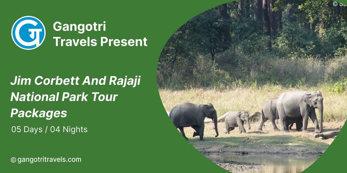Jim Corbett and Rajaji National Park Tour Packages