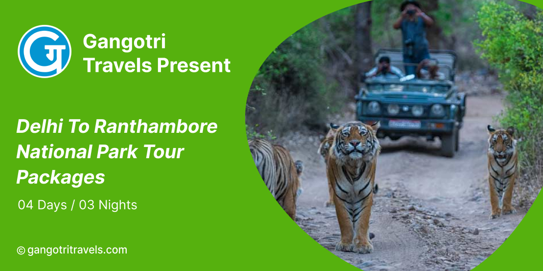 Delhi to Ranthambore Tour Package